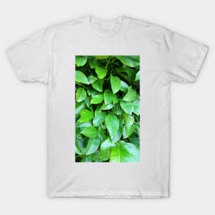 Lemon Tree Leaves T-Shirt